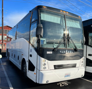 portrait of a bus