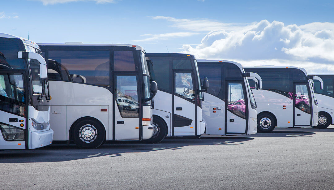 portrait of buses